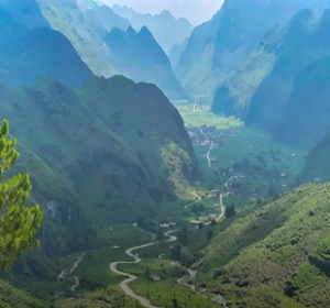 Duong Thuong